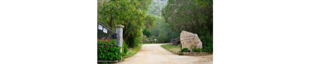 

Verona - Villasimius, Sardegna - Hotel Oleandro