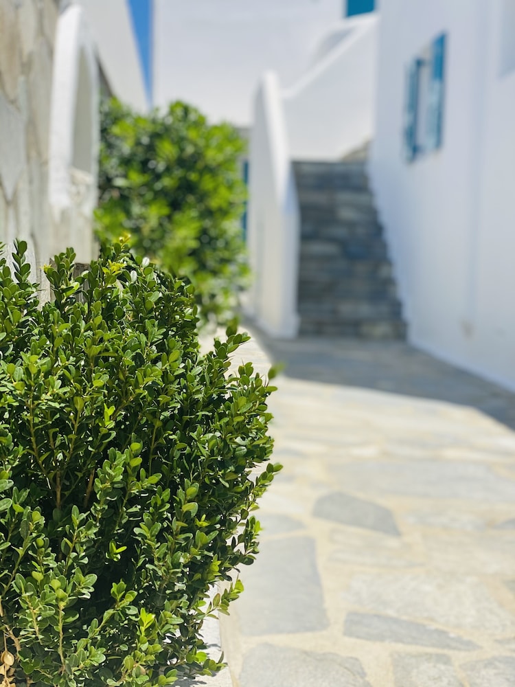 

Venezia - Mykonos, Isole Greche - Cyclades Blue