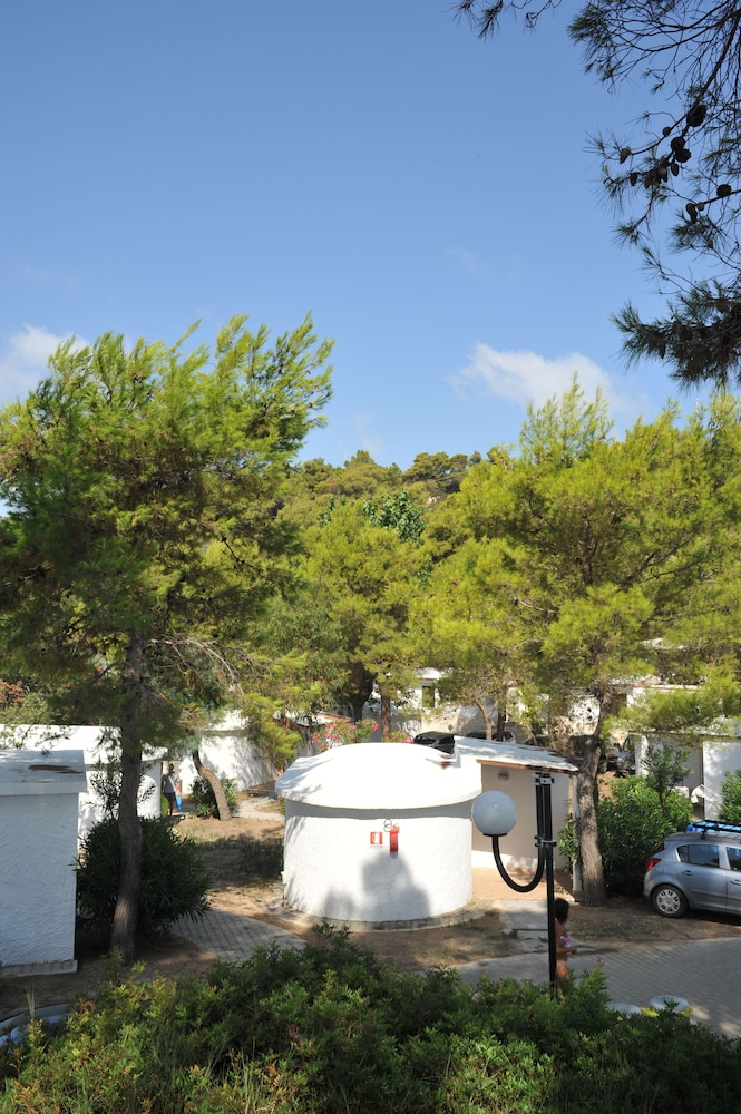 

Milano - Peschici - Villaggio Capo Vieste Camping