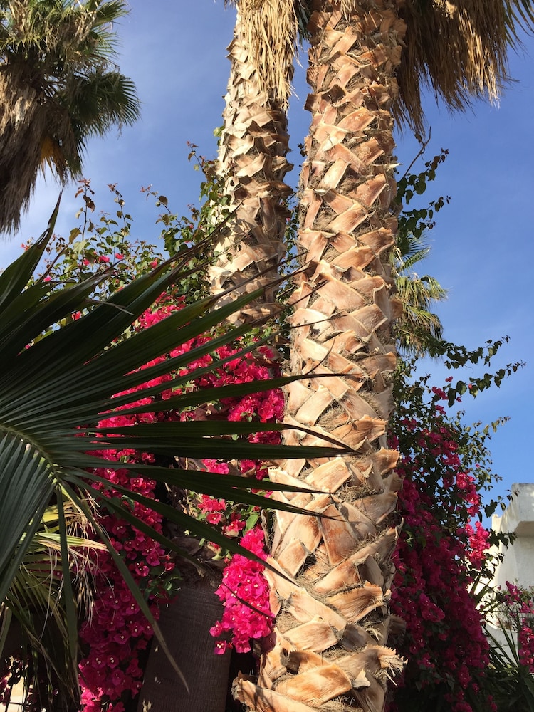 

Roma - Villafranca Tirrena - Hotel Redebora