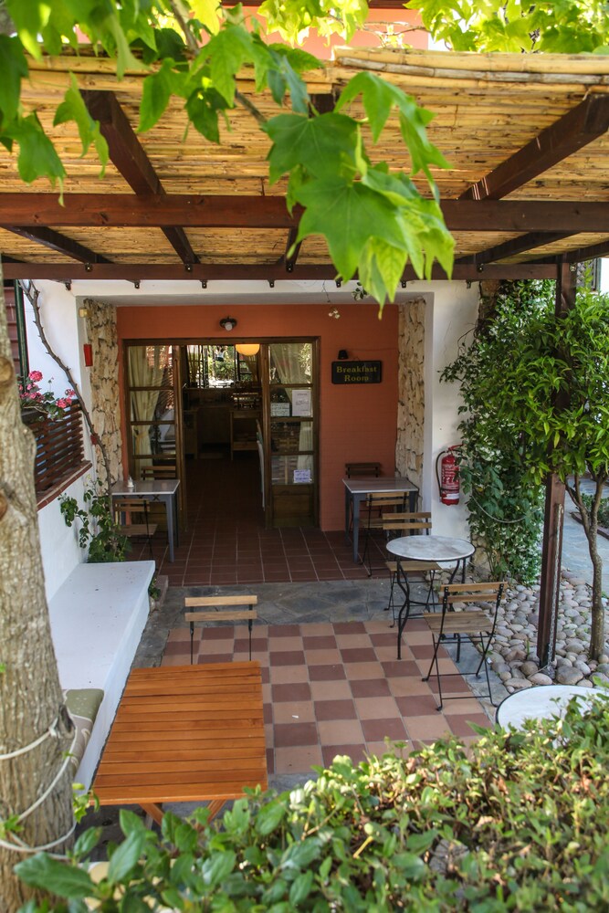 

Roma - Kassandra - Paliouri - Ammon Garden Hotel
