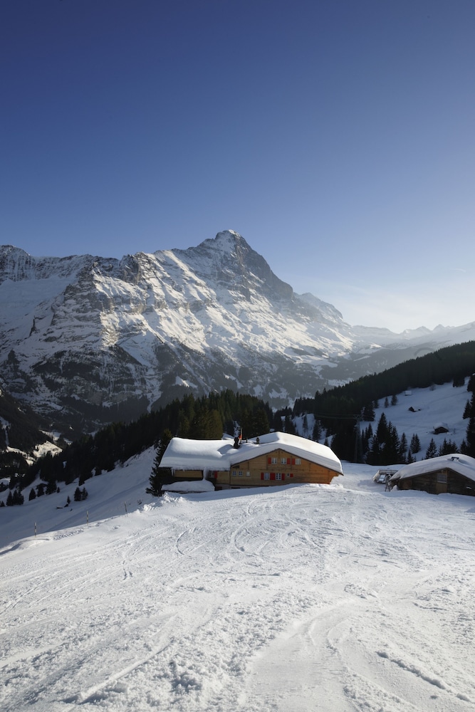 

Torino - Grindelwald - Alpinhotel Bort