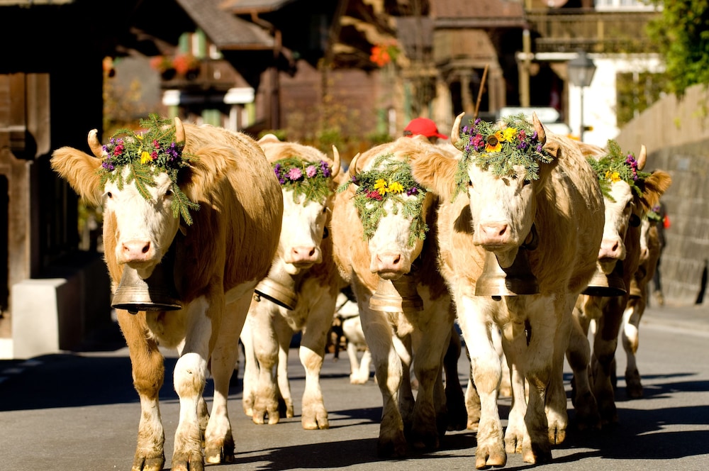 

Milano - Gstaad - Hotel Spitzhorn Superieur
