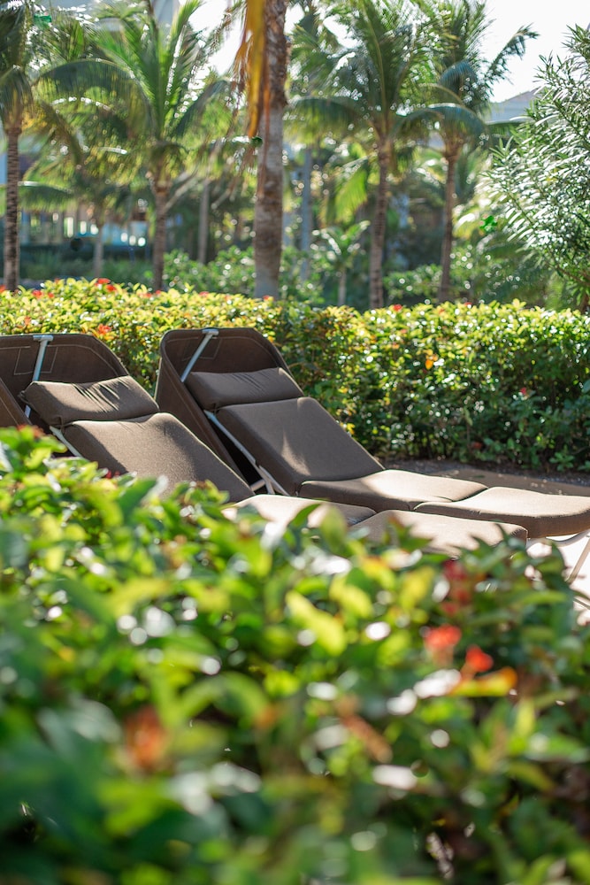 

Milano - Paradise Island - The Reef at Atlantis