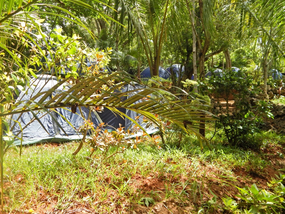 

Bologna - Kilifi - Kilifi Maghreb