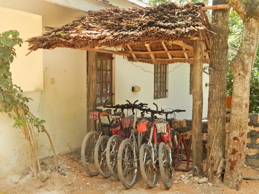

Bologna - Kilifi - Kilifi Maghreb
