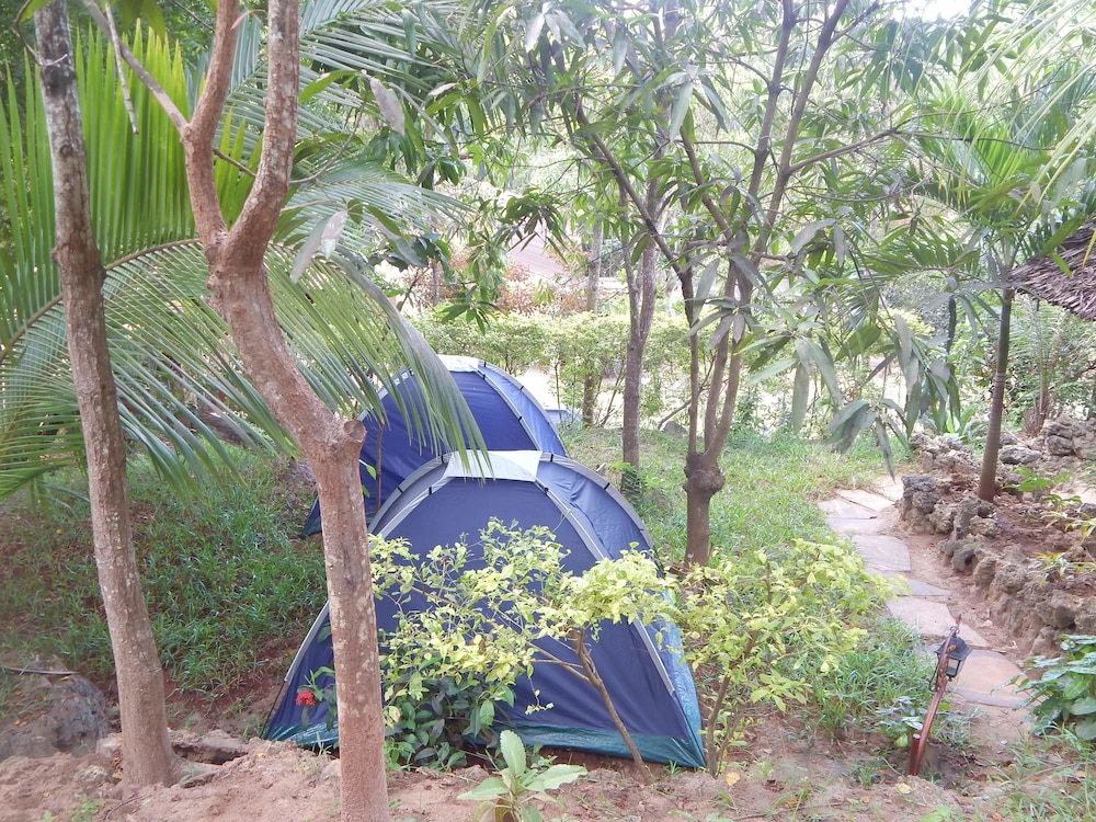 

Bologna - Kilifi - Kilifi Maghreb