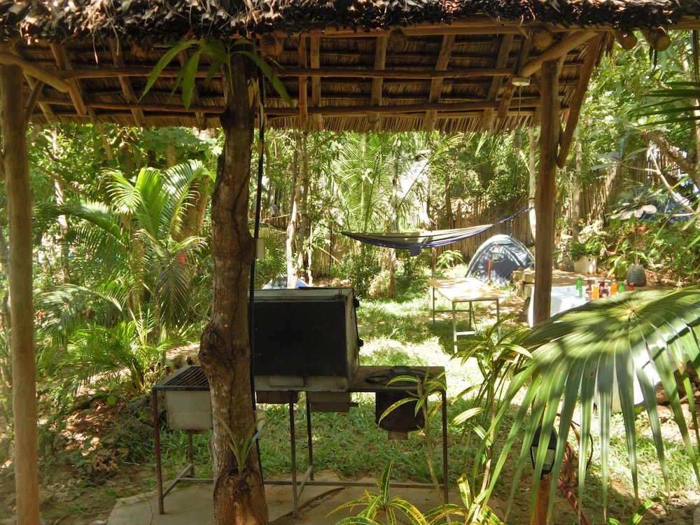 

Bologna - Kilifi - Kilifi Maghreb