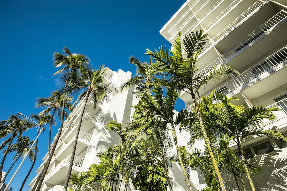 

Venezia - Honolulu - Oasis Hotel Waikiki