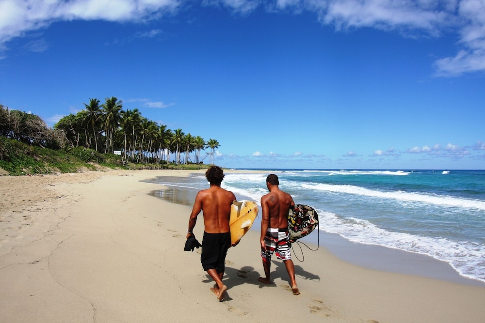 

Milano - Cabarete - SLABDR Coliving | Once Surf Salvación.