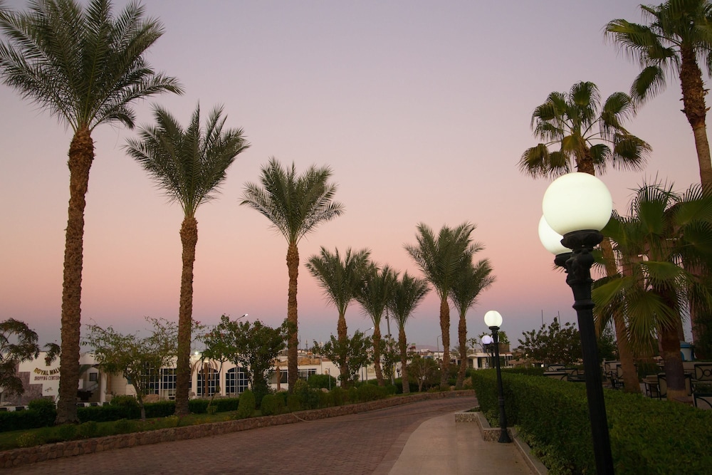 

Lamezia Terme - Sharm El Sheikh - Naama Blue Hotel