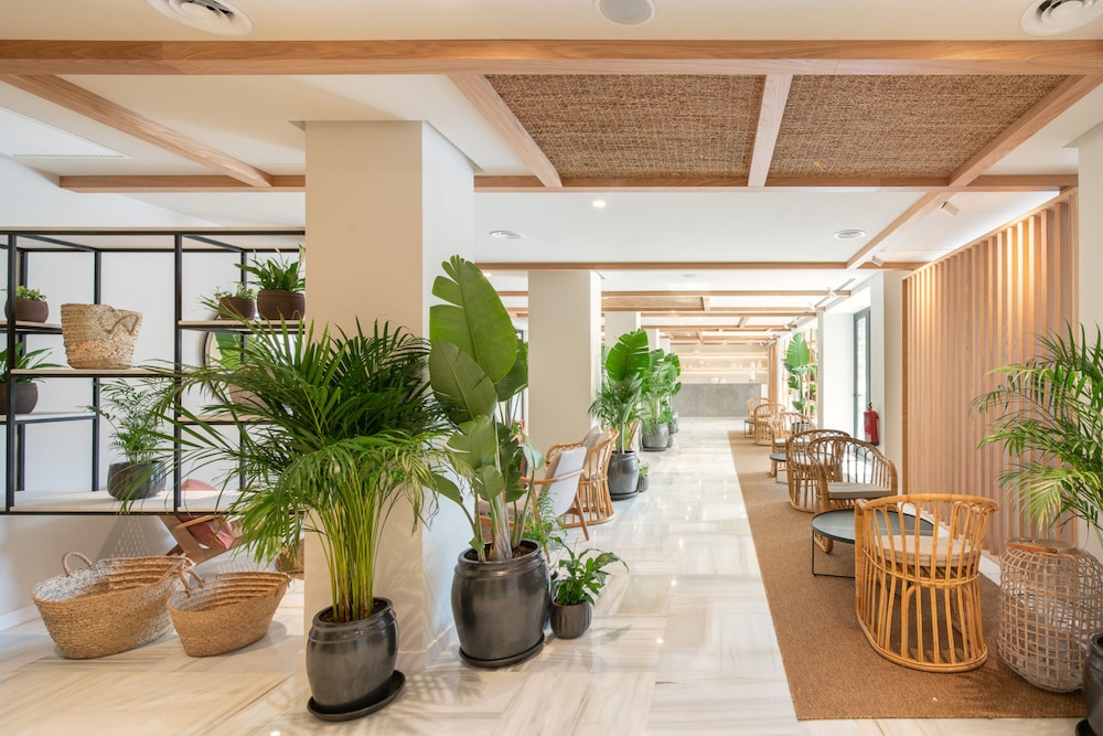 

Roma - Sóller - Hotel Eden Nord Soller