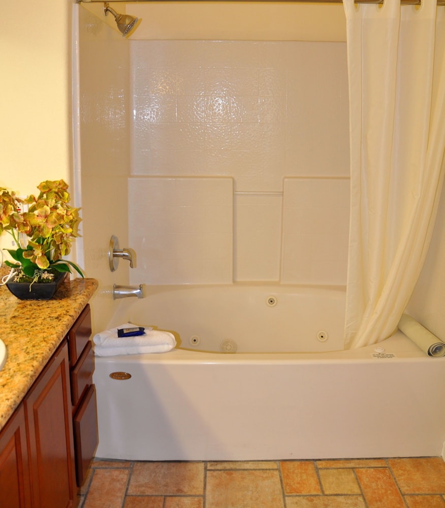 

Bologna - Las Vegas (NV) - Club De Soleil All-Suite Resort