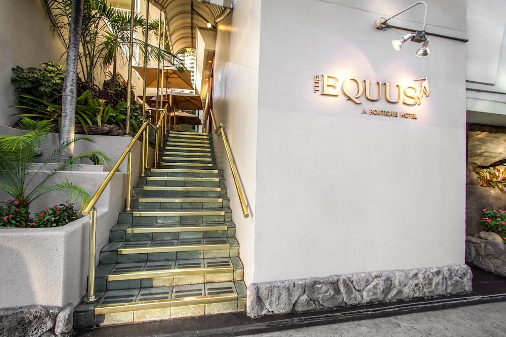 

Roma - Honolulu - The Equus
