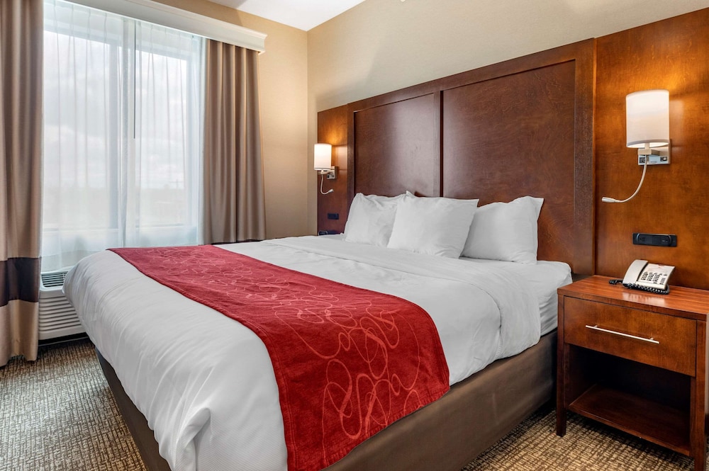 

Roma - Columbus (OH) - Comfort Suites Columbus Airport