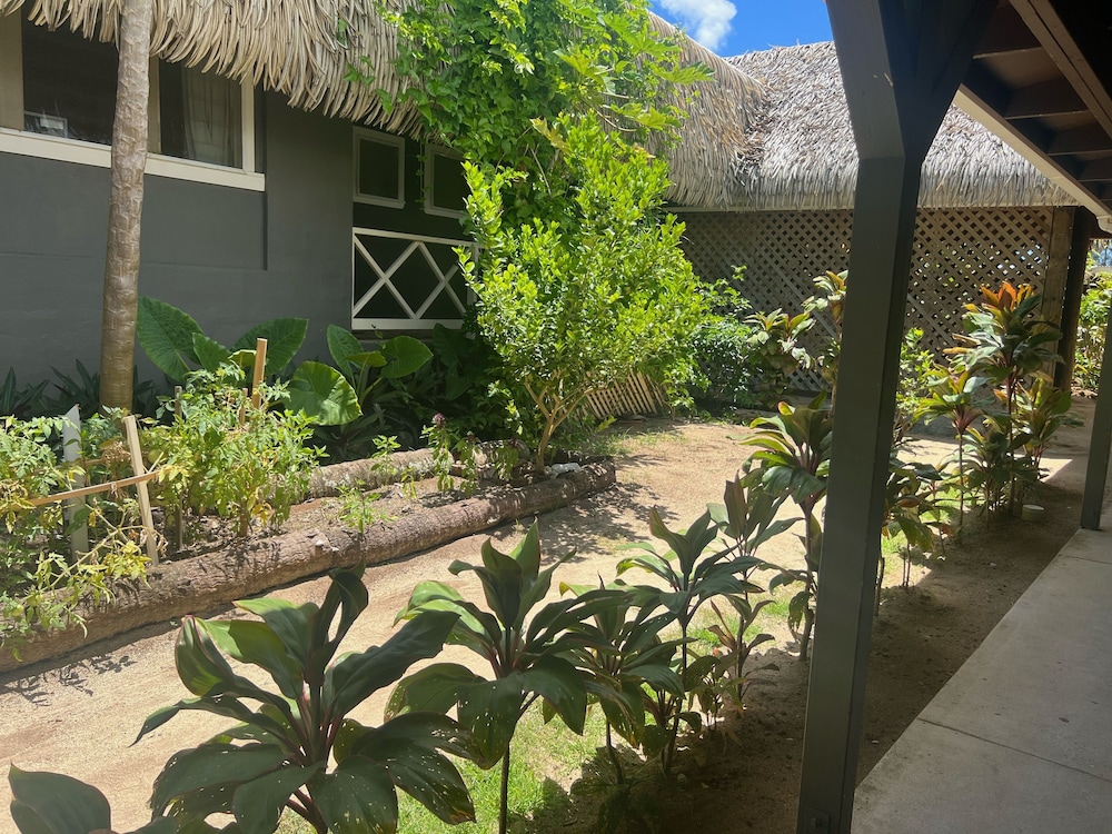 

Milano - Rarotonga - Club Raro Resort – Adults Only