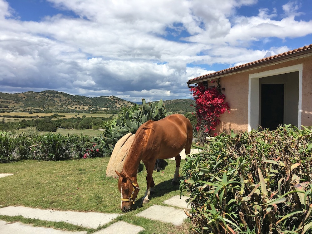 

Napoli - Olbia - Borgo di Campagna