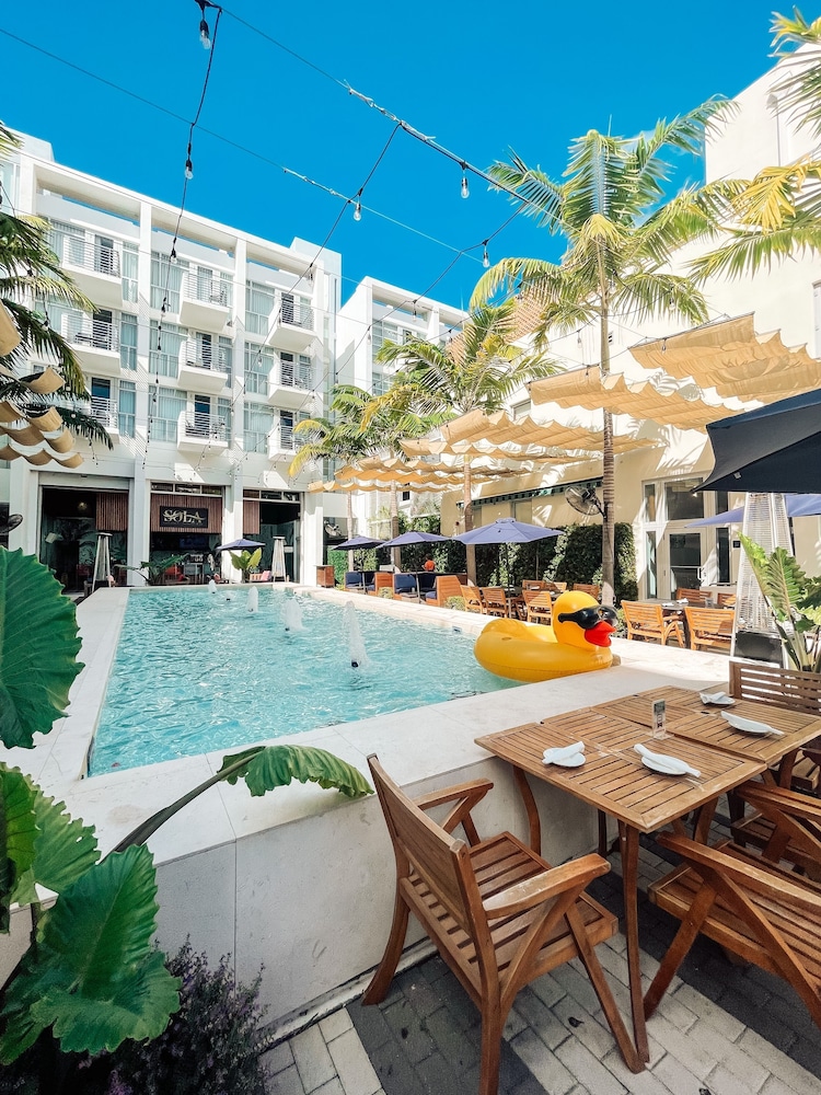 

Torino - Miami, Florida - The Fairwind Hotel