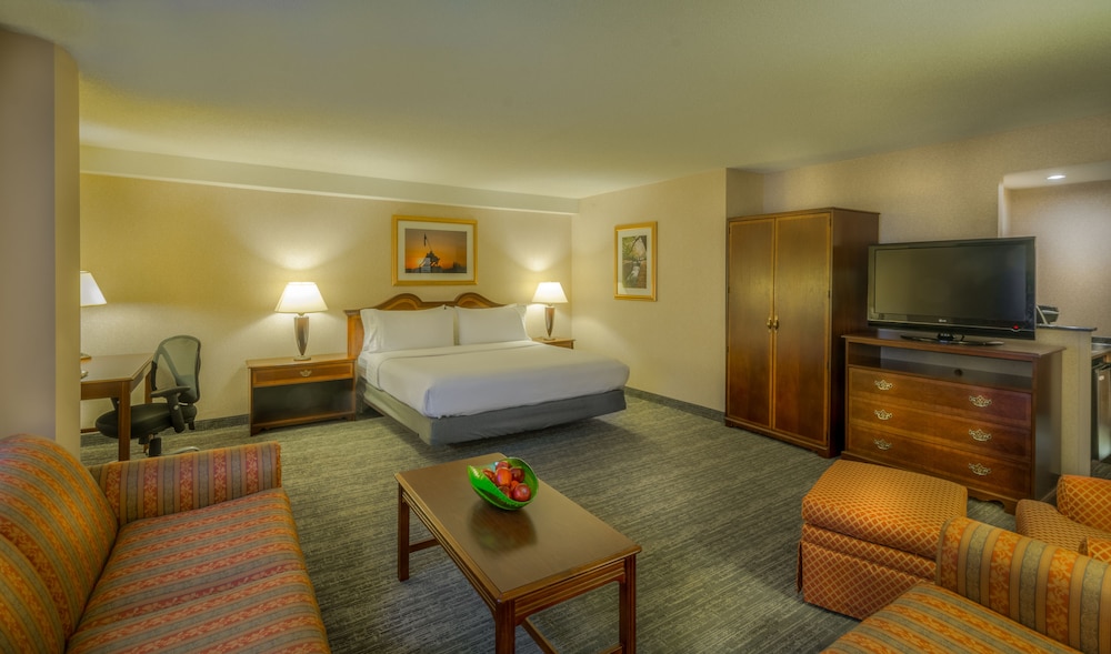 

Napoli - Washington DC - Holiday Inn Arlington At Ballston