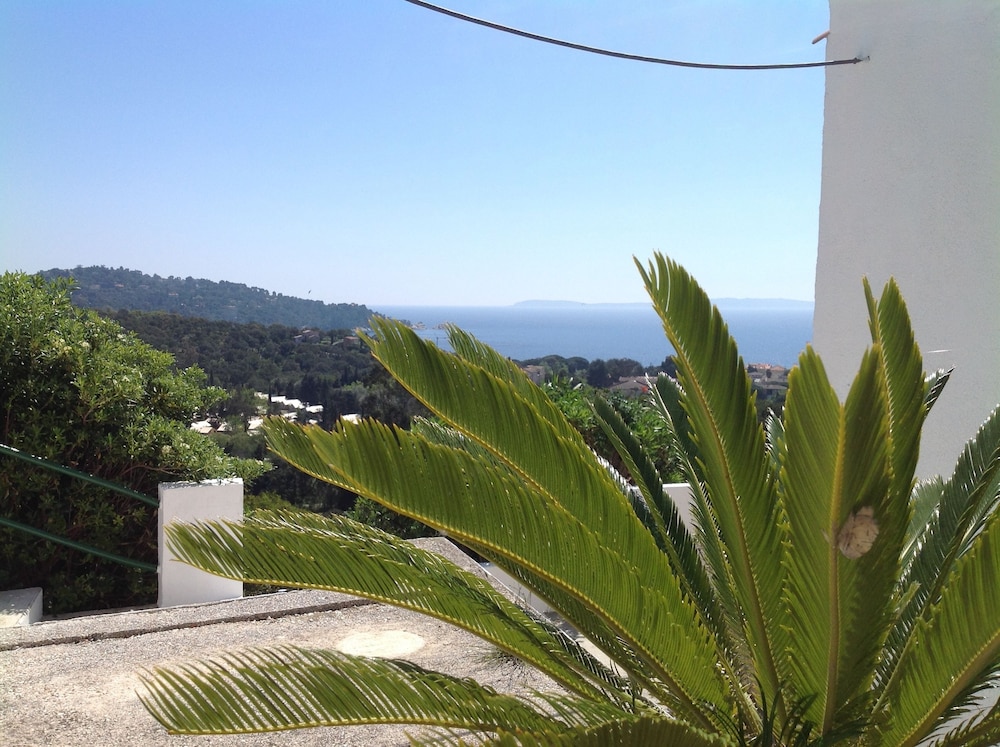 

Napoli - Cavalaire-sur-Mer - Azur Hotel