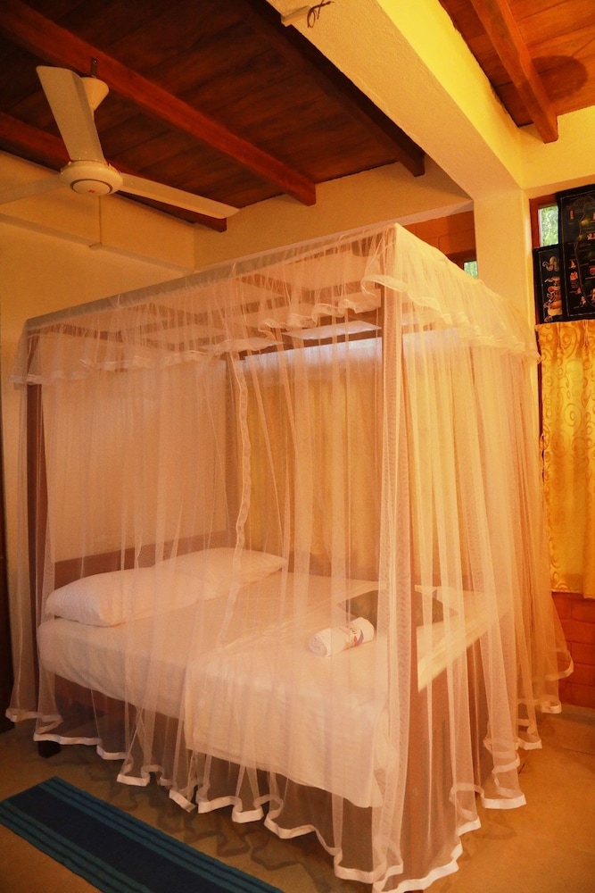 

Roma - Unawatuna - Milkyway Holiday Resort