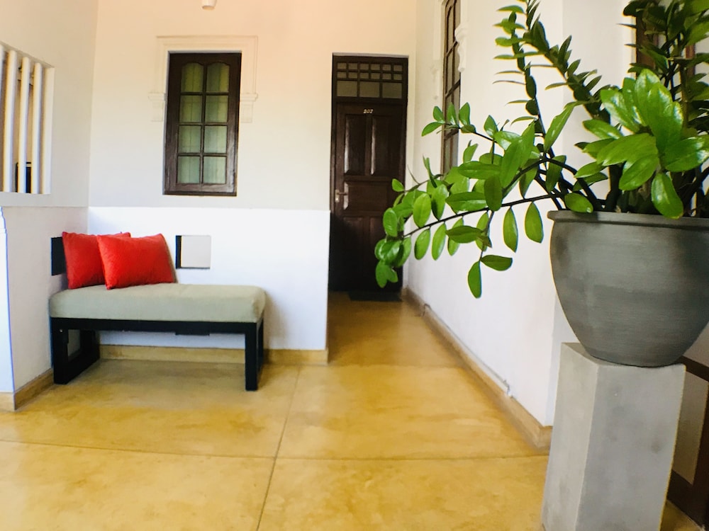 

Milano - Negombo - The Forest
