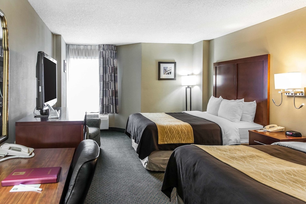 

Roma - Alexandria (VA) - Comfort Inn Pentagon City