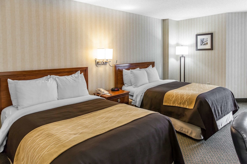

Bologna - Washington DC - Comfort Inn Pentagon City