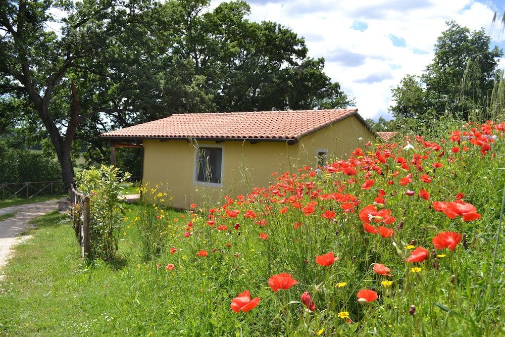 

Roma - Saturnia - Relais Ciavatta Country Hotel
