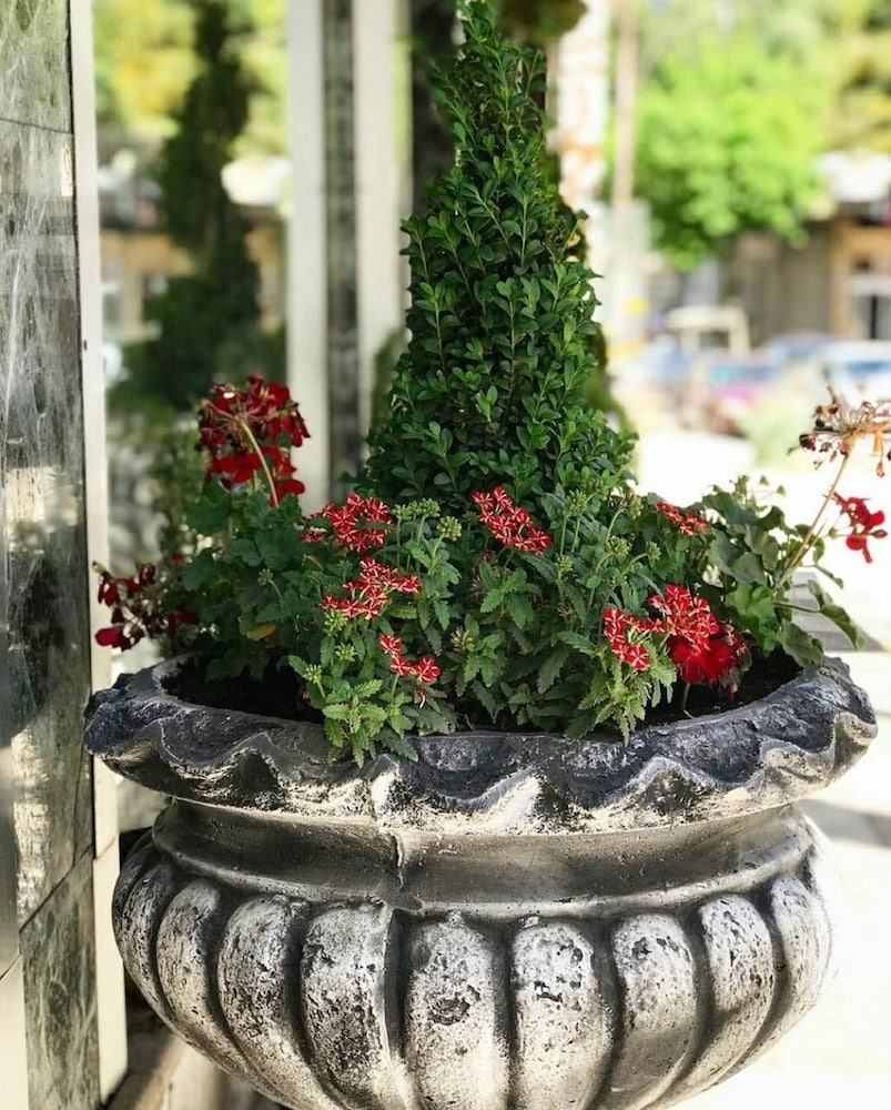 

Napoli - Amman - Arabesque Hotel