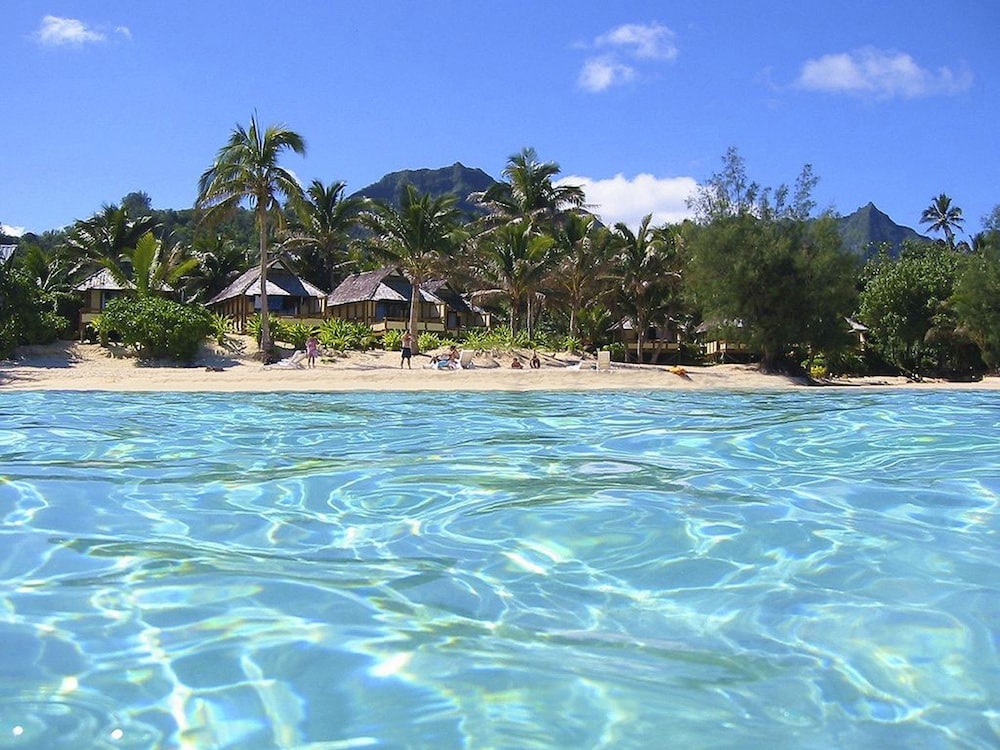

Roma - Rarotonga - Palm Grove