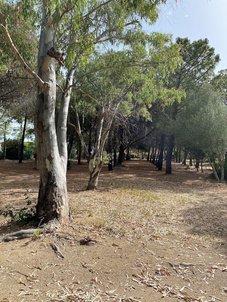 

Trieste - Calvi - Camping Bella Vista