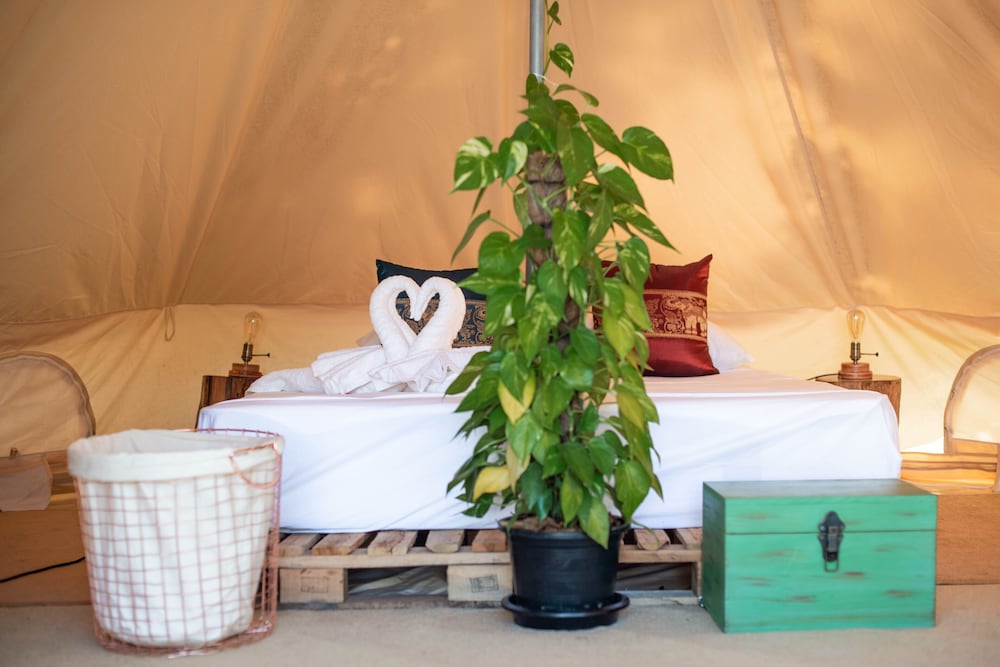 

Venezia - Rawai Beach - Roost Glamping - SHA Certified