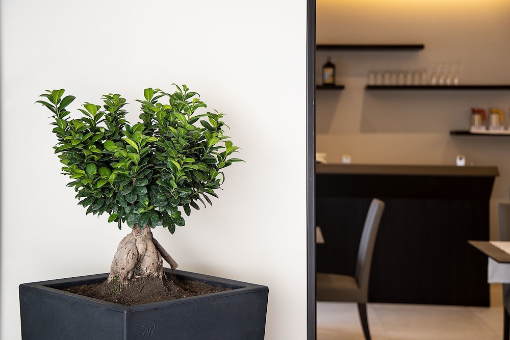 

Trieste - Casalnuovo di Napoli - Hotel Palazzo Argenta