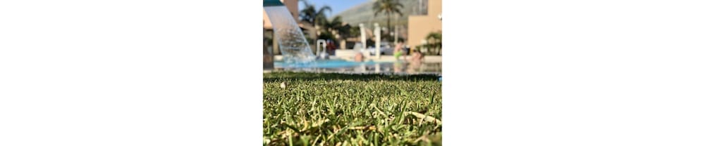 

Napoli - Custonaci - Hotel Oasi da Paolo