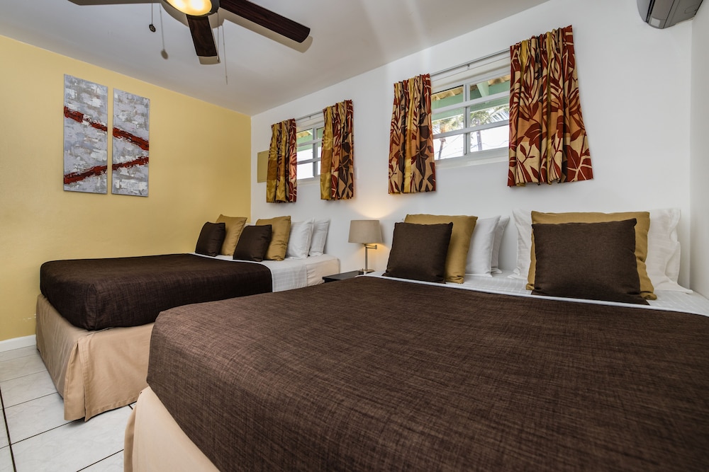 

Firenze - Palm Beach - Paradera Park Aruba
