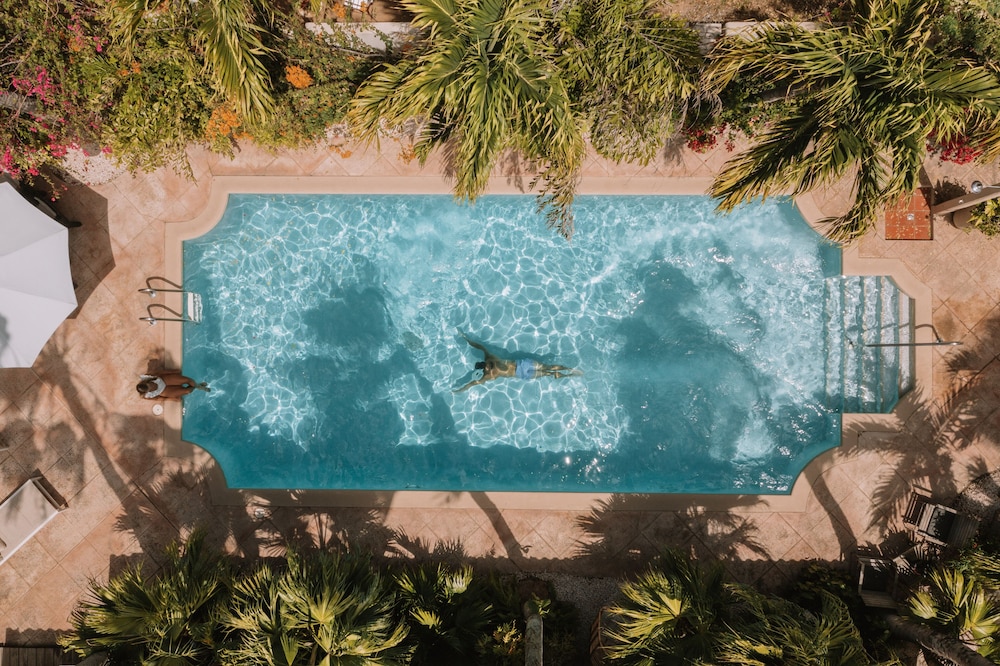 

Bologna - Palm Beach - Paradera Park Aruba