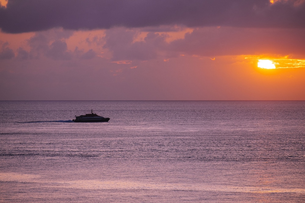 

Firenze - Cozumel - Coral Princess Hotel & Dive Resort