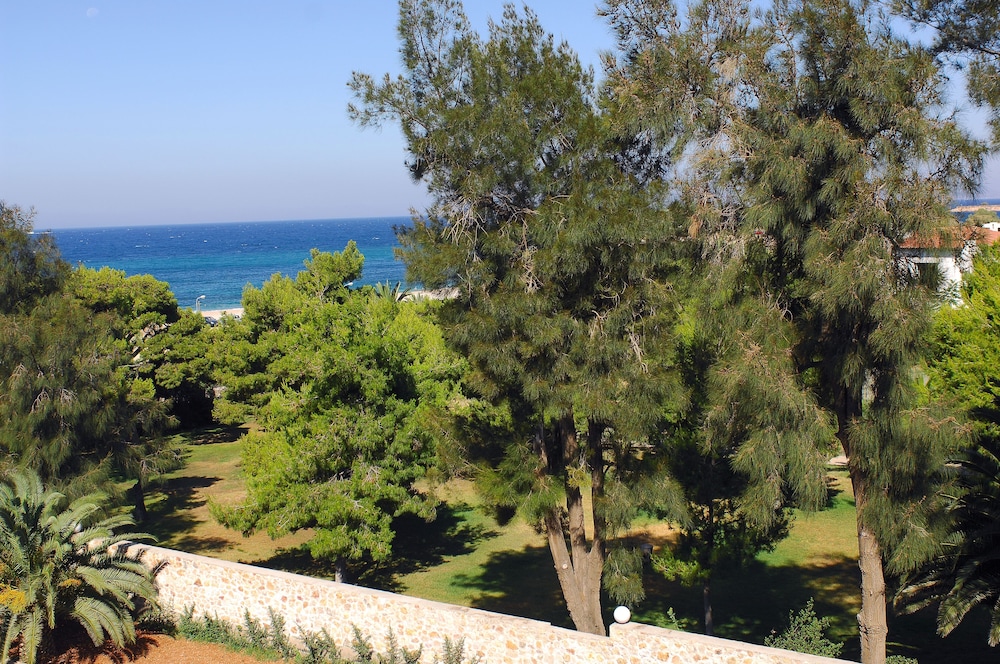 

Bologna - Vouliagmeni - Hotel Palmyra Beach