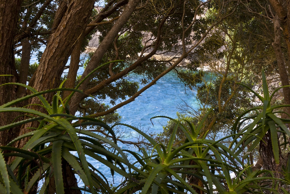 

Roma - Cais do Pico - Aldeia da Fonte Hotel