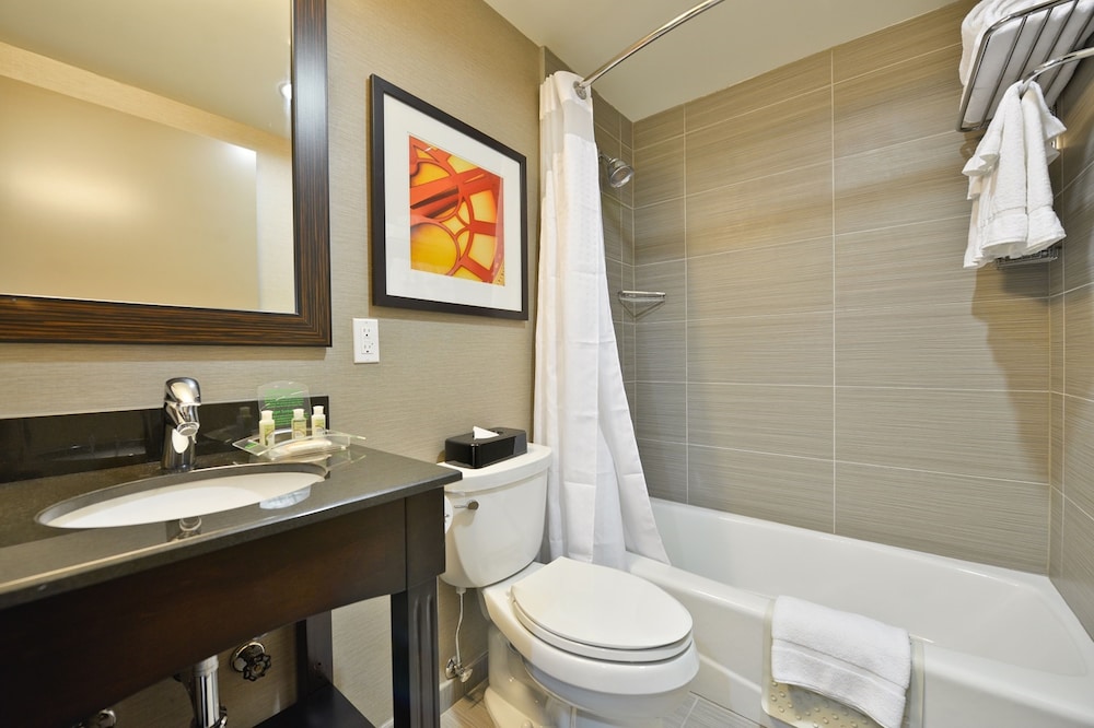 

Torino - Brooklyn (NY) - Holiday Inn NYC - Lower East Side