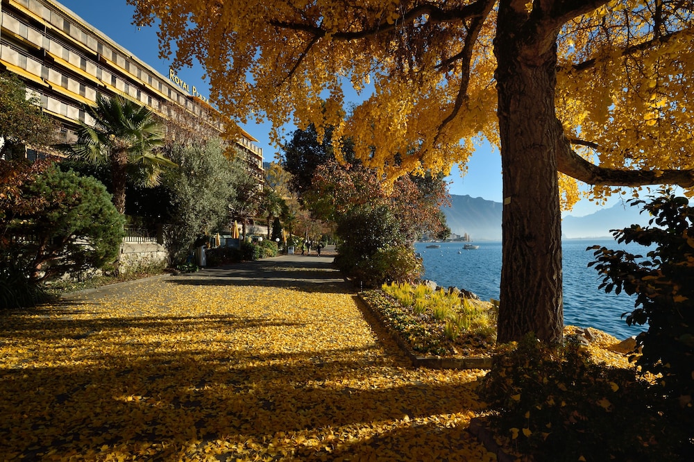 

Roma - Montreux - Royal Plaza Montreux