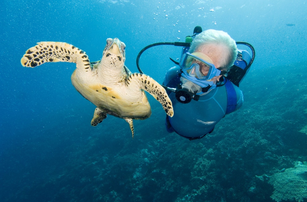 

Venezia - Savusavu - Jean-Michel Cousteau Resort Fiji