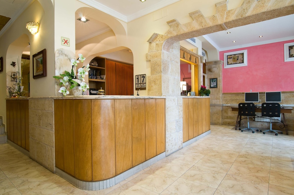 

Trieste - El Arenal - Hotel Balear