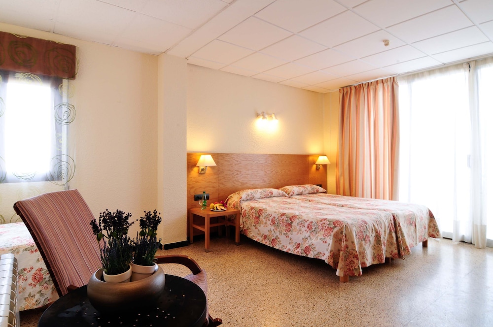 

Bologna - Playa de Palma - Hotel Balear