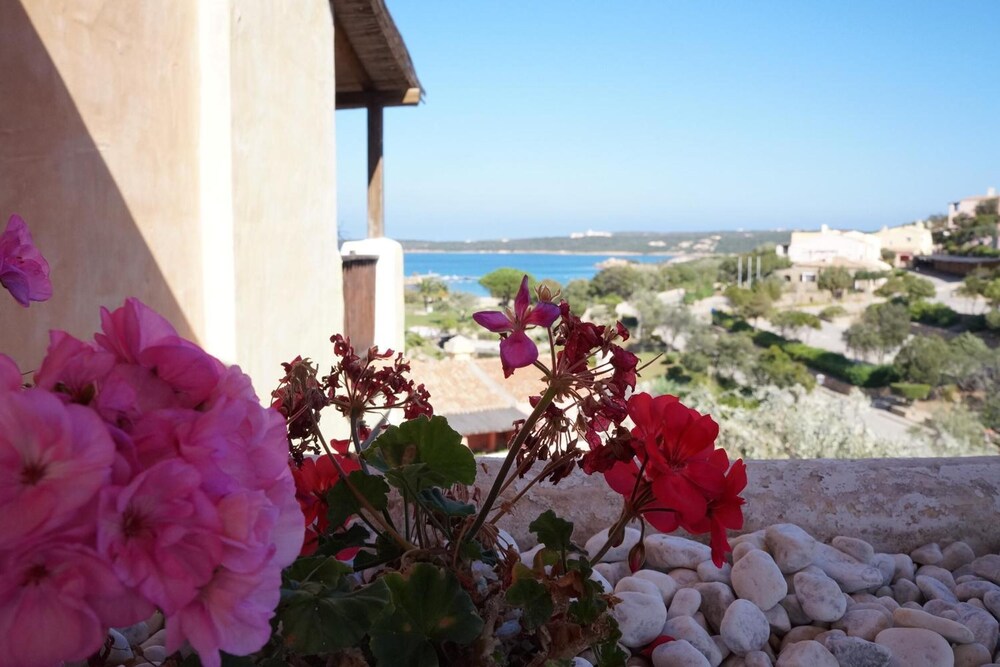 

Ancona - Baja Sardinia - Bagaglino I Giardini Di Porto Cervo