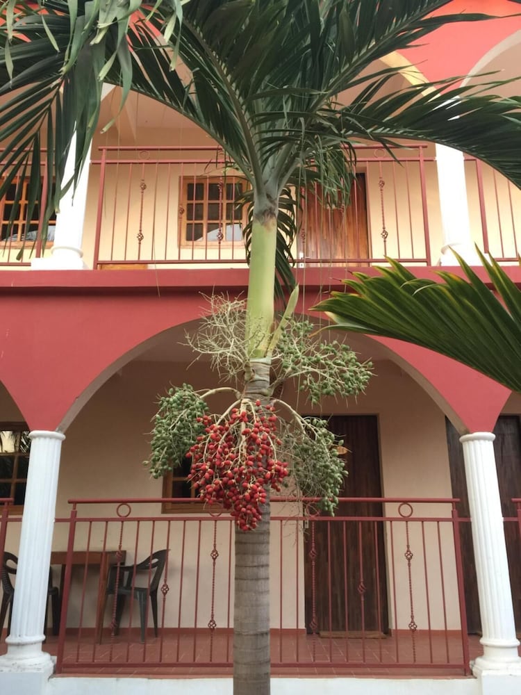

Milano - Ziguinchor - Hotel Le Flamboyant