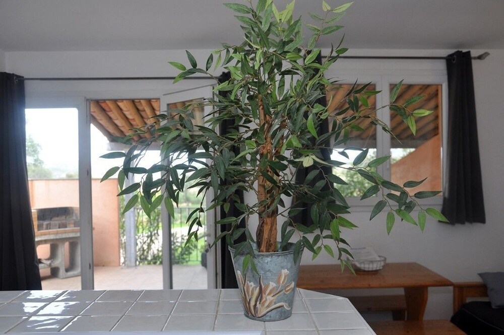 

Roma - Bonifacio - Résidence Maora Village