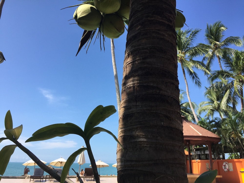 

Roma - Lipa Noi - Kanok Buri Resort