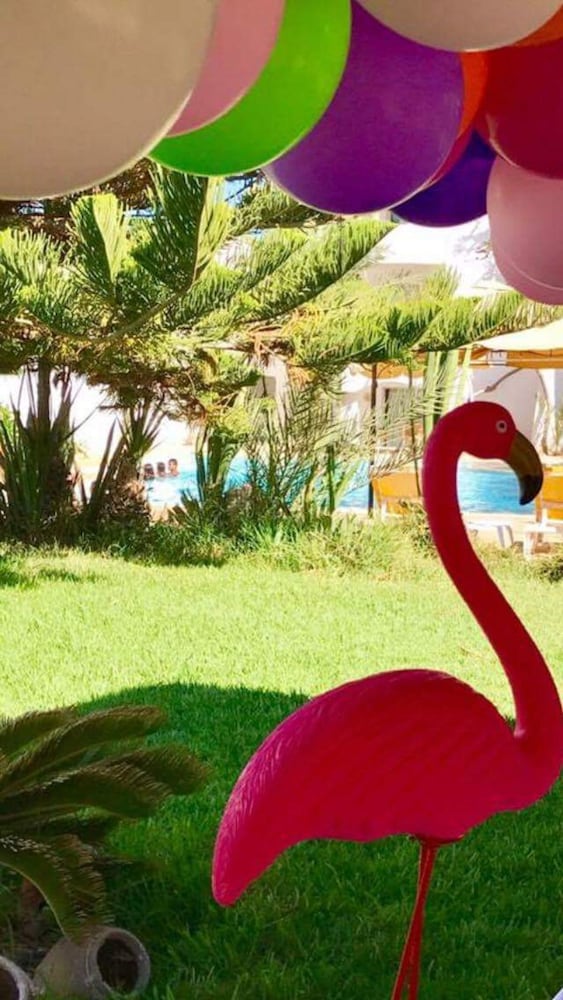 

Verona - Mezraia - Djerba Orient